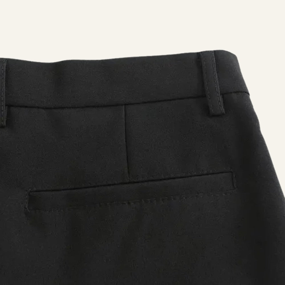 Pants Darvon Men’s Slim Anti-Wrinkle